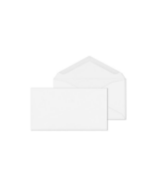 Business Envelopes with Logo